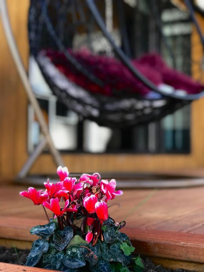 Onehunga Garden Tinyhouse With Parking Hotell Auckland Eksteriør bilde